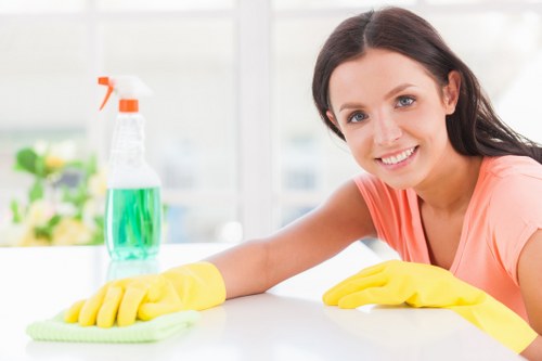 Professional carpet cleaning terms and conditions document