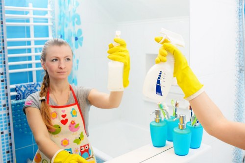 Local cleaners handling post-construction cleaning in a Highbury property