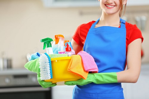 Professional sofa cleaning service for Highbury homes and flats