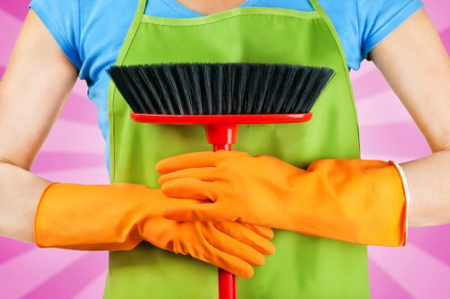Detailed carpet cleaning service in Highbury for homes and workplaces