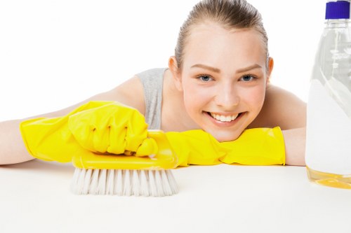 Deep cleaning treatment for a wool rug in Highbury