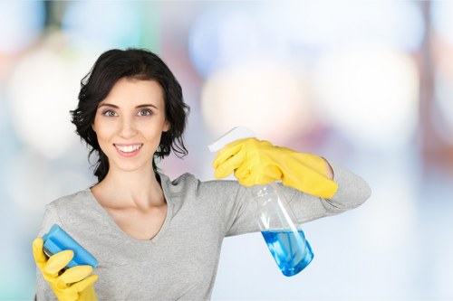 Highbury property cleaning service focused on ongoing maintenance and presentation