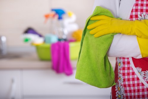 Upholstery pet odour removal service in a Highbury flat