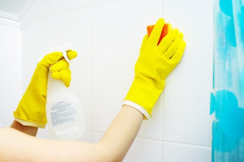 Detailed bathroom deep clean in a Highbury property