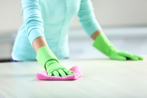 Hard floor maintenance service for a Highbury residential property
