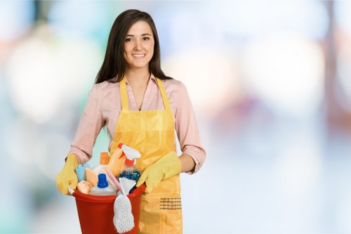 Professional cleaning of curtains in a Highbury home