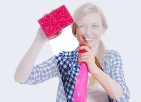 Domestic cleaner working in a Highbury residential property