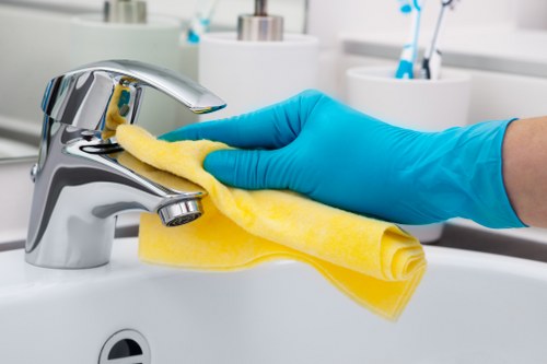 Local domestic cleaner working in a Highbury apartment