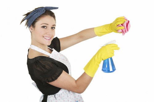 Regular home cleaning service for busy households in Highbury