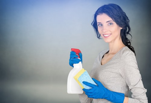 Local sofa cleaning for apartments and period properties in Highbury