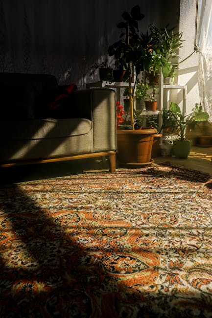 A sunlit interior room featuring a patterned carpet with intricate orange, beige, and dark blue designs, laid on a wooden floor. To the left, there is a grey upholstered sofa with wooden legs, partially shadowed by the sunlight. Several potted plants, including a large leafy plant and a smaller one on a white shelving unit, are positioned near a window, allowing natural light to illuminate the space. The room appears clean and well-maintained, reflecting regular domestic cleaning and surface sanitisation efforts, as highlighted by the presence of plants and the absence of dust or clutter. The scene emphasizes the importance of area cleaning and maintaining a hygienic environment with a cozy, inviting atmosphere, consistent with services offered by Carpet Cleaners Highbury.